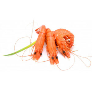 Crevette 40/60 Madagascar biologique