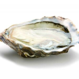 Huîtres Fine de Claire Marenne d'Oleron N°3